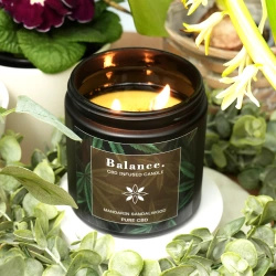 Soja Duftkerze CBD im Glas Balance Mandarin Sandalwood Candle Brothers 350 g