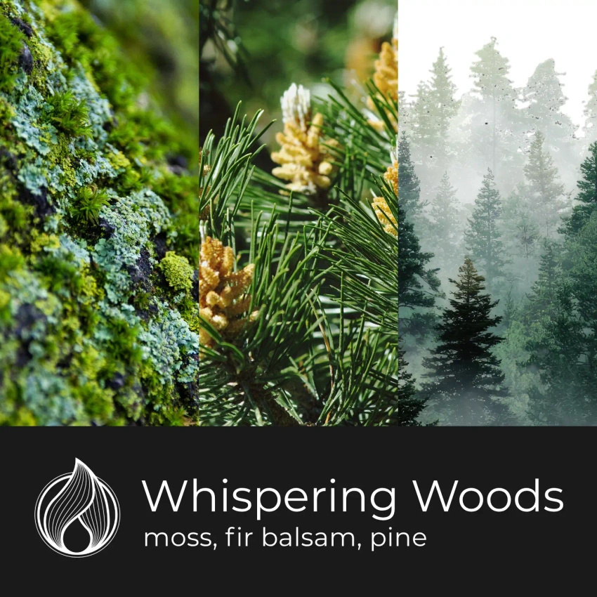 Candle World bos soja geurkaars 3 lonten Whispering Woods 460 g