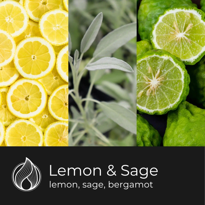 Candle World soja geurwas Lemon Sage 50 g Salie Citroen