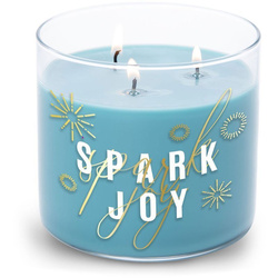 Vela profumata soja Colonial Candle - Spark Joy