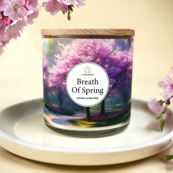 Candle World soja geurkaars 3 lonten Breath of Spring 460 g Rose Geranium