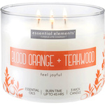 Duftkerze soja	Blood Orange Teakwood Candle-lite