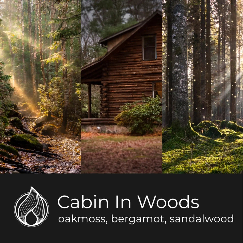 Candle World soja geurwas Cabin In Woods 50 g houtachtig