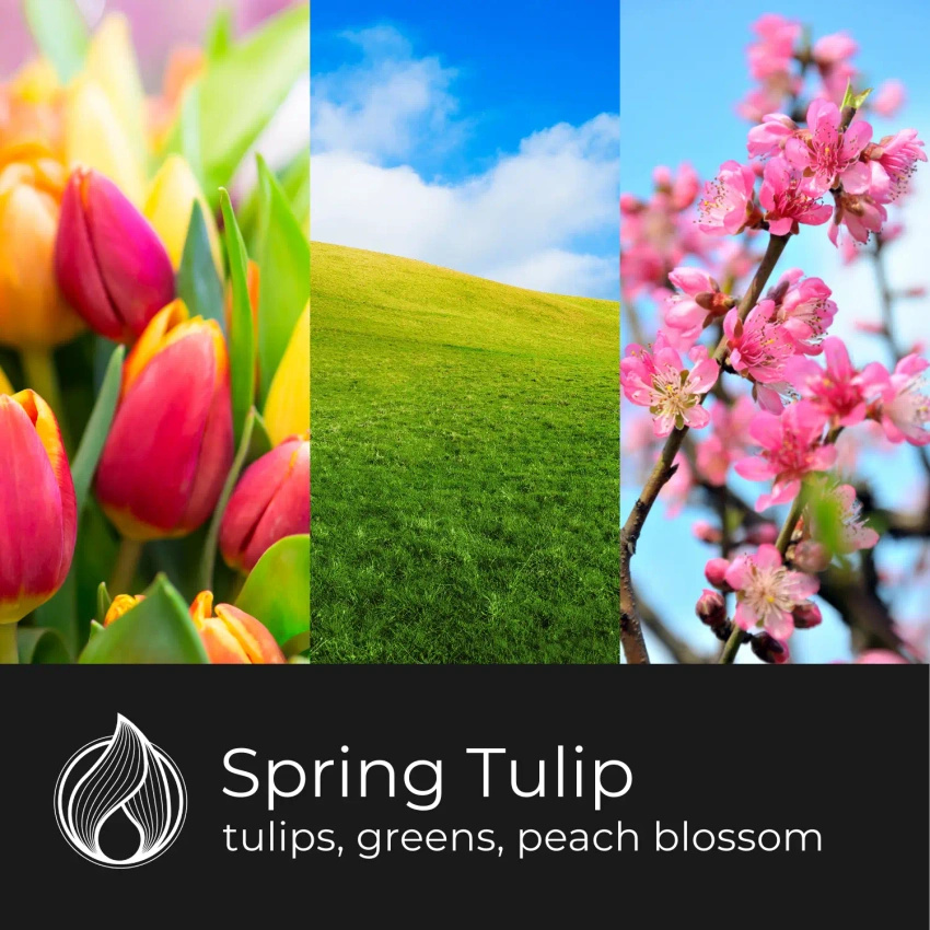 Candle World bougie parfumée au soja Spring Tulip 120 g Tulipe