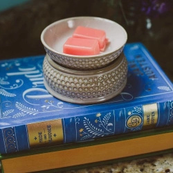 Cera profumata Welcome Home Bridgewater Candle 73 g