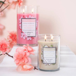 Colonial Candle Klassiskt stort sojadoftljus i tumblerglas 19 oz 538 g - Pink Cherry Blossom