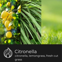 Candle World anti-geur sojawas Citronella 50 g
