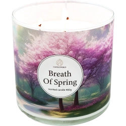 Candle World sojowa świeca zapachowa 3 knoty Breath of Spring 460 g Róża Geranium